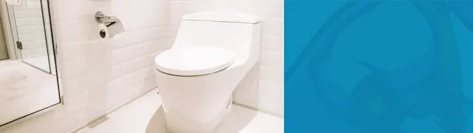 Installation Toilette Plombier